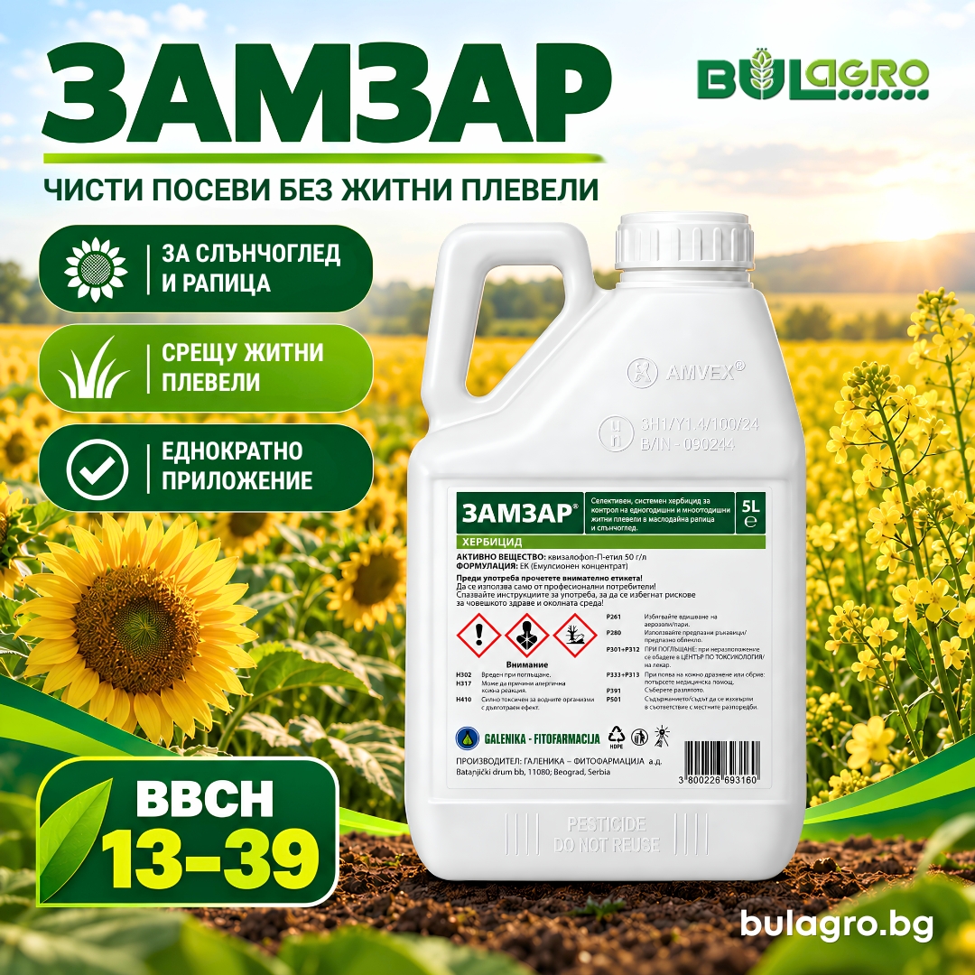 Замзар - хербицид срещу житни плевели в широколистни култури
