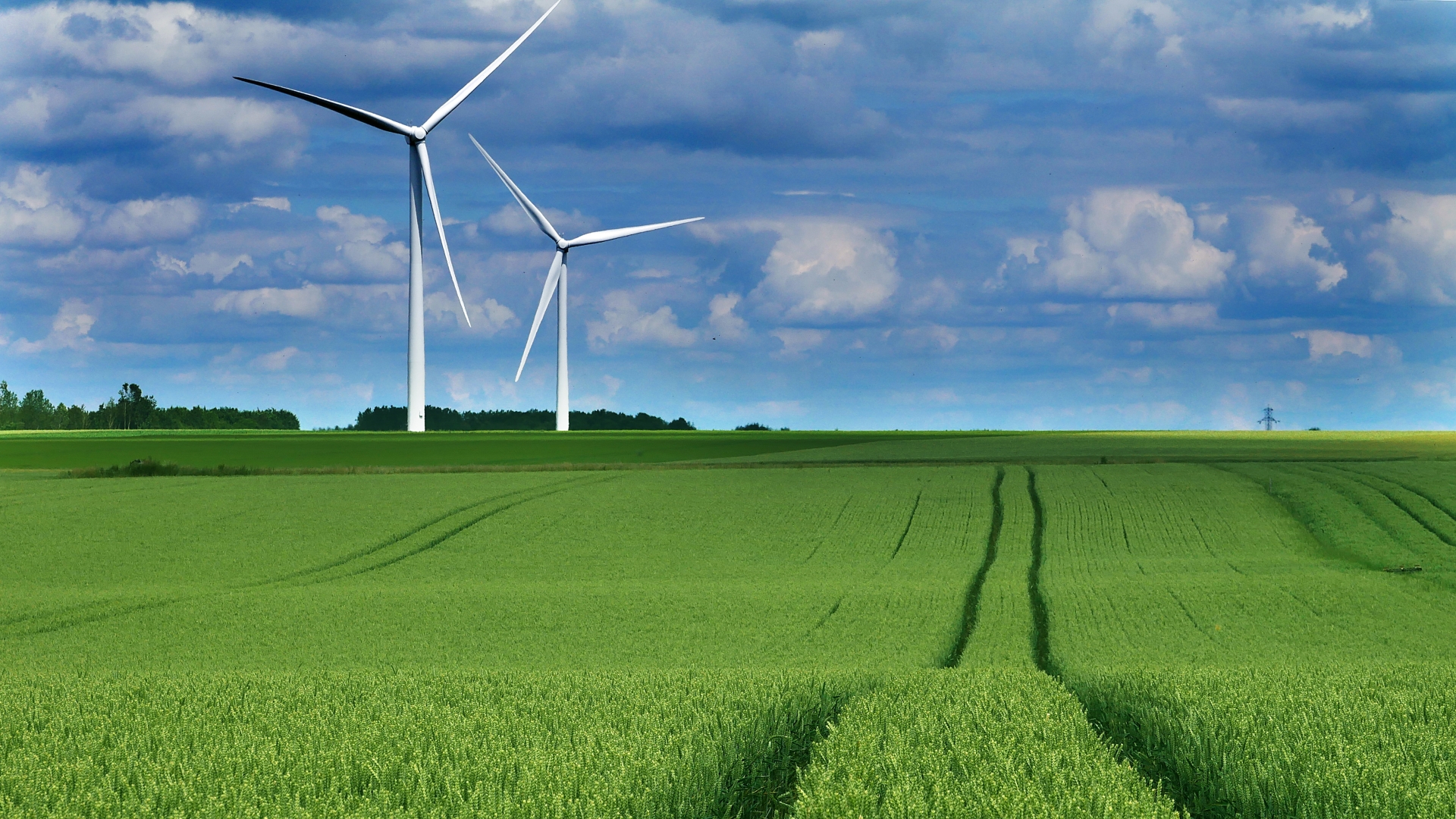 wind-5324144.jpg