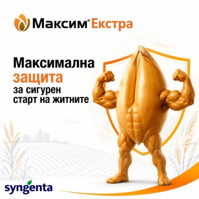 Максим Екстра - фунгицид за третиране на семена