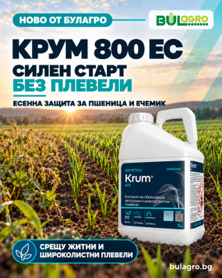 Крум 800 ЕС -  почвен хербицид за есенна защита при зимна пшеница и ечемик